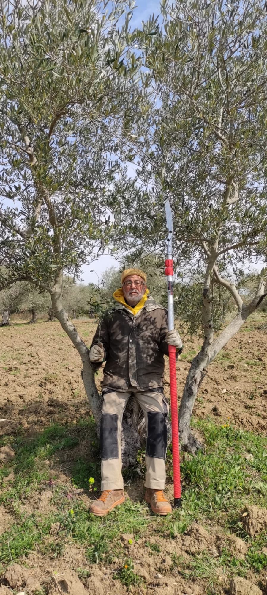 Ad Ognuno il suo Olio